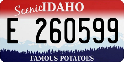 ID license plate E260599