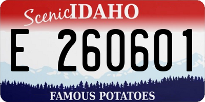 ID license plate E260601