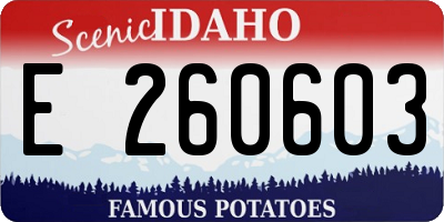 ID license plate E260603