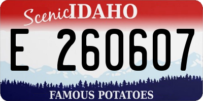 ID license plate E260607