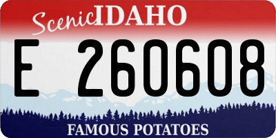 ID license plate E260608