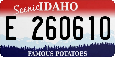 ID license plate E260610