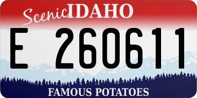 ID license plate E260611