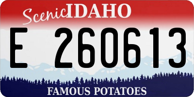 ID license plate E260613