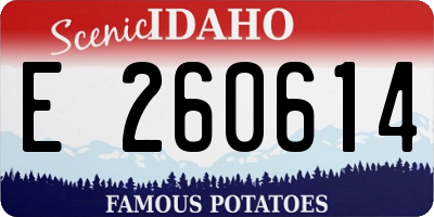 ID license plate E260614