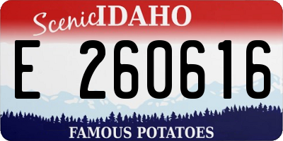 ID license plate E260616