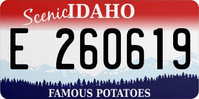 ID license plate E260619