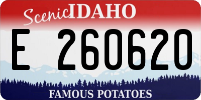 ID license plate E260620