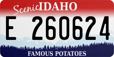 ID license plate E260624