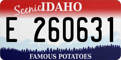 ID license plate E260631