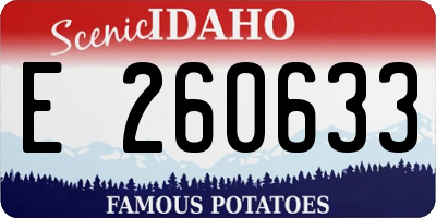 ID license plate E260633