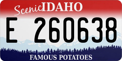 ID license plate E260638