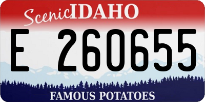 ID license plate E260655