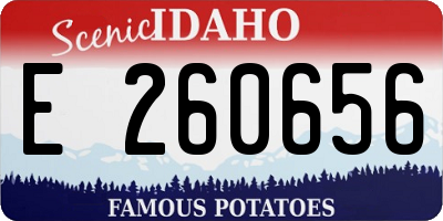 ID license plate E260656