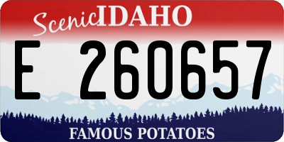 ID license plate E260657