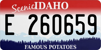 ID license plate E260659