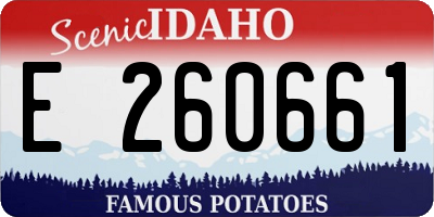 ID license plate E260661