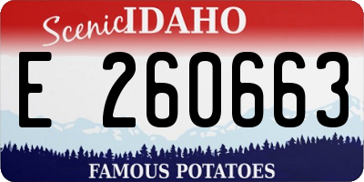 ID license plate E260663