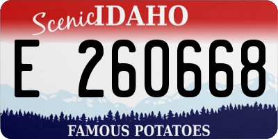 ID license plate E260668