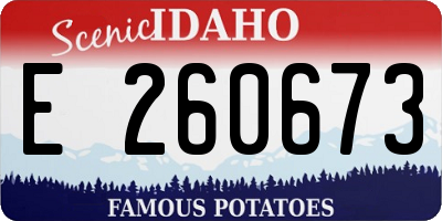 ID license plate E260673