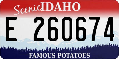 ID license plate E260674