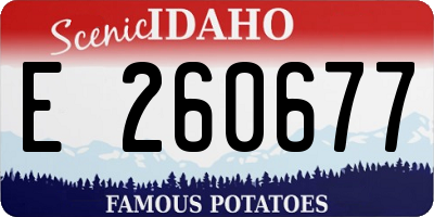 ID license plate E260677