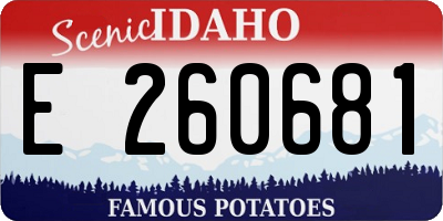 ID license plate E260681