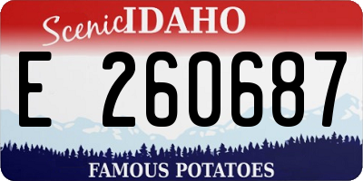 ID license plate E260687