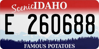 ID license plate E260688