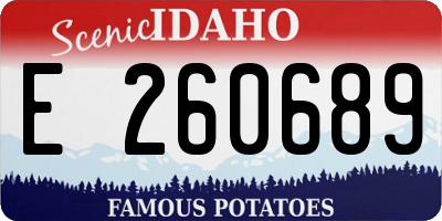 ID license plate E260689