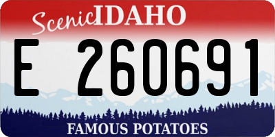 ID license plate E260691