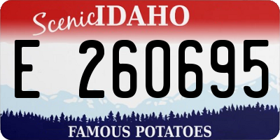 ID license plate E260695