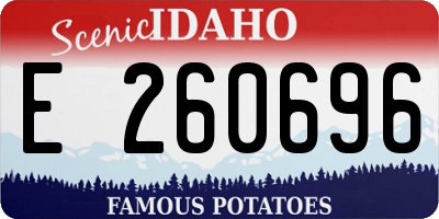 ID license plate E260696