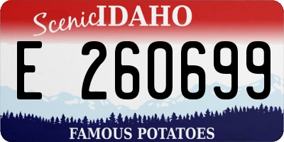 ID license plate E260699
