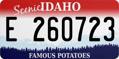 ID license plate E260723