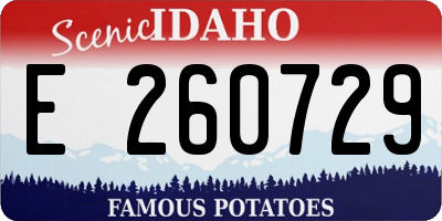 ID license plate E260729