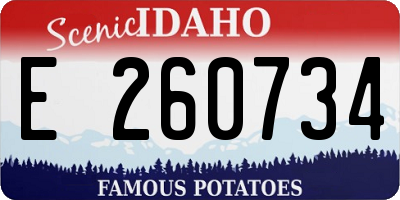 ID license plate E260734