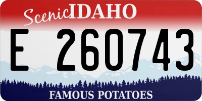 ID license plate E260743