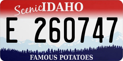 ID license plate E260747
