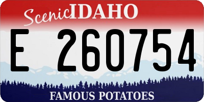 ID license plate E260754