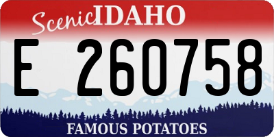 ID license plate E260758