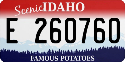 ID license plate E260760