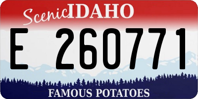 ID license plate E260771