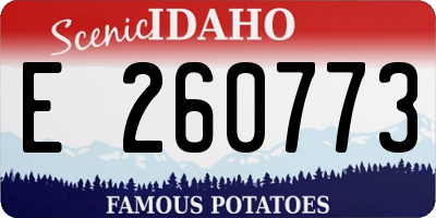 ID license plate E260773