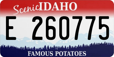 ID license plate E260775