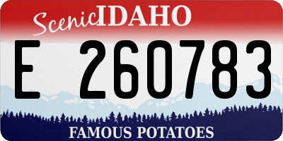 ID license plate E260783