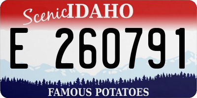 ID license plate E260791