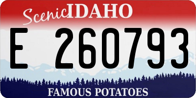 ID license plate E260793