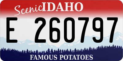 ID license plate E260797