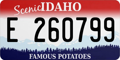 ID license plate E260799
